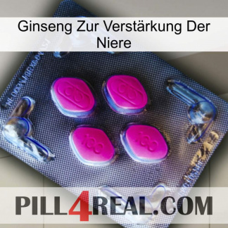 Ginseng Zur Verstärkung Der Niere 02